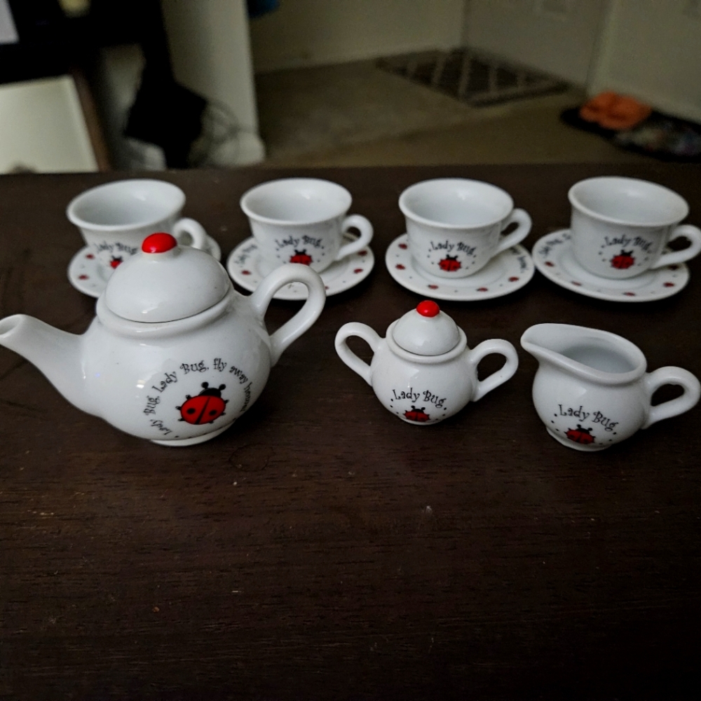 Kids Ladybug tea set